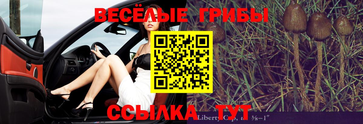 где можно купить наркотик  Вход с VPN  Смоленск  Галлюциногенные грибы мухоморы  Галлюциногенные грибы мицелий 