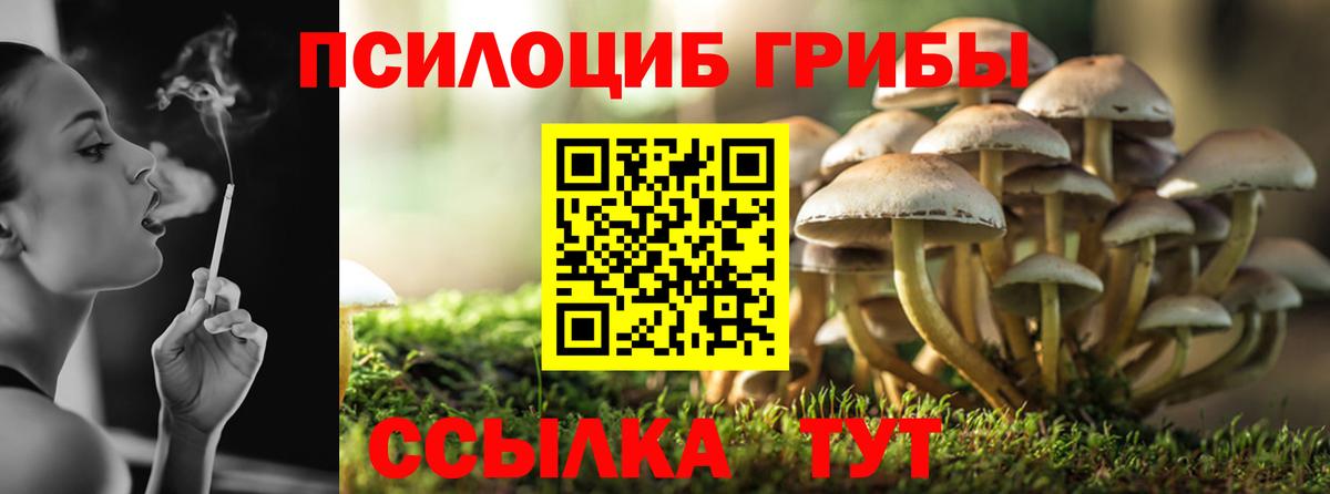Псилоцибиновые грибы Magic Shrooms Смоленск